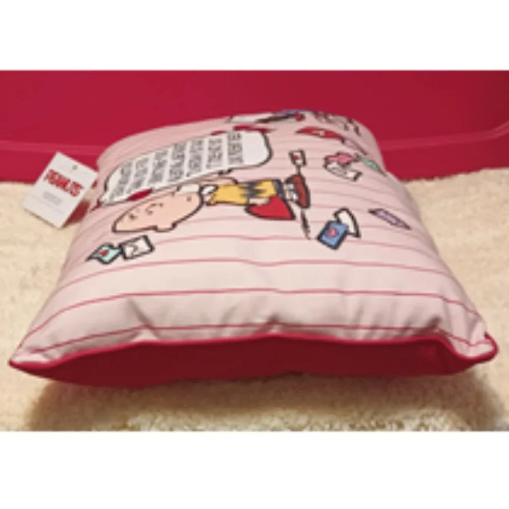 NWT ~ Peanuts Valentine's Snoopy & Charlie Brown Comic Decorative Throw Pillow